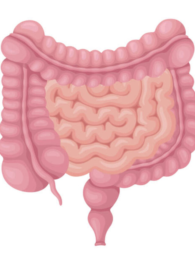 Gut हेल्थ में सुधार कैसे करें?